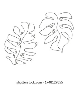 Decorative hand drawn monstera leaf, design element. Can be used for cards, invitations, banners, posters, print design. Continuous line art style