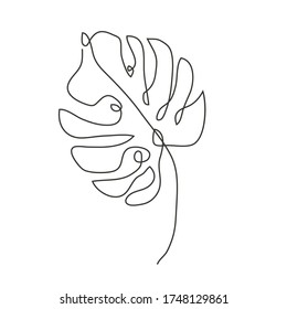 Decorative hand drawn monstera leaf, design element. Can be used for cards, invitations, banners, posters, print design. Continuous line art style