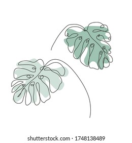 Decorative hand drawn monstera leaf, design element. Can be used for cards, invitations, banners, posters, print design. Continuous line art style