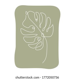 Decorative hand drawn monstera leaves, design element. Can be used for cards, invitations, banners, posters, print design. Continuous line art style