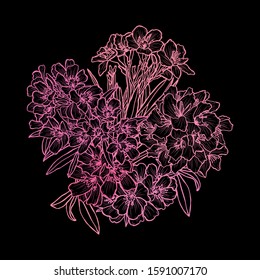 Decorative hand drawn oleander flowers, design elements. Can be used for cards, invitations, banners, posters, print design. Floral background in line art style