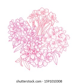 Decorative hand drawn oleander flowers, design elements. Can be used for cards, invitations, banners, posters, print design. Floral background in line art style