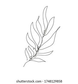 Decorative hand drawn palm leaf, design element. Can be used for cards, invitations, banners, posters, print design. Continuous line art style