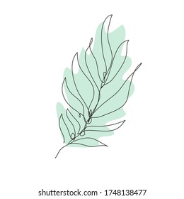 Decorative hand drawn palm leaf, design element. Can be used for cards, invitations, banners, posters, print design. Continuous line art style