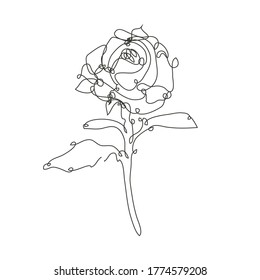 Decorative hand drawn rose flower, design element. Can be used for cards, invitations, banners, posters, print design. Continuous line art style