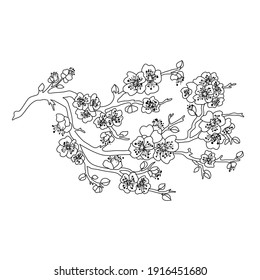 Flores de cerezo sakura dibujadas a mano, elementos de diseño. Se puede usar para tarjetas, invitaciones, banners, afiches, diseño de impresión. Fondo floral en estilo de arte lineal