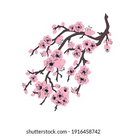 Decorative hand drawn sakura cherry blossom  flowers, design elements. Can be used for cards, invitations, banners, posters, print design. Floral background in line art style