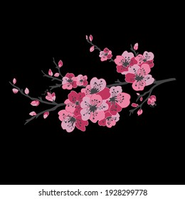 Decorative hand drawn sakura cherry blossom  flowers, design elements. Can be used for cards, invitations, banners, posters, print design. Floral background in line art style