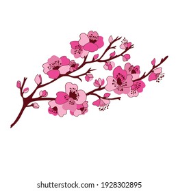 Spring Sakura Flowers Blossom Art Hand Stock Vector (Royalty Free ...