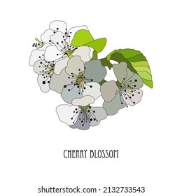 Sakura dibujada a mano, flores de flores de cerezo, elementos de diseño. Se puede usar para tarjetas, invitaciones, banners, afiches, diseño de impresión. Fondo floral en estilo de arte lineal