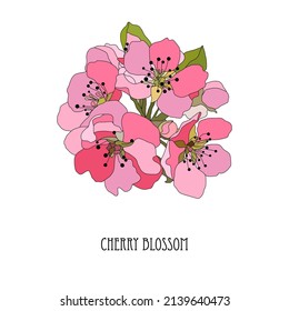 Decorative hand drawn sakura, cherry blossom flowers, design elements. Can be used for cards, invitations, banners, posters, print design. Floral background in line art style