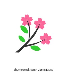 Decorative hand drawn sakura cherry blossom flowers, design elements. Can be used for cards, invitations, banners, posters, print design. Floral background in line art style