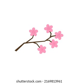 Decorative hand drawn sakura cherry blossom flowers, design elements. Can be used for cards, invitations, banners, posters, print design. Floral background in line art style