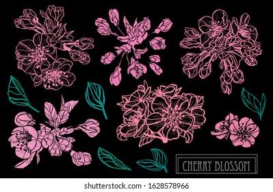 Decorative hand drawn sakura flowers set, design elements. Can be used for cards, invitations, banners, posters, print design. Floral background in line art style