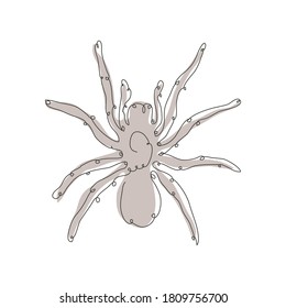 Decorative hand drawn spider, design element. Can be used for cards, invitations, banners, posters, print design. Continuous line art style. Insect theme