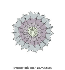 Decorativa telaraña dibujada a mano, elemento de diseño. Se puede usar para tarjetas, invitaciones, banners, afiches, diseño de impresión. Estilo de arte de línea continuo. Tema araña