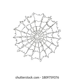 Decorative hand drawn spider web, design element. Can be used for cards, invitations, banners, posters, print design. Continuous line art style. Spider  theme