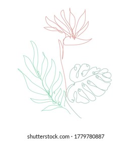 Decorative hand drawn strelitza and tropical leaves, design elements. Can be used for cards, invitations, banners, posters, print design. Continuous line art style