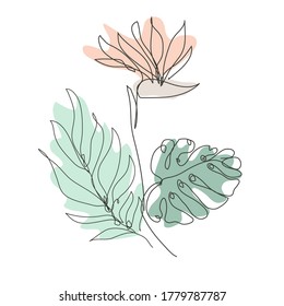 Decorative hand drawn strelitza and tropical leaves, design elements. Can be used for cards, invitations, banners, posters, print design. Continuous line art style