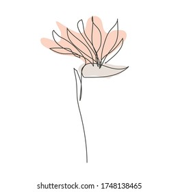 Decorative hand drawn strelitzia flower, design element. Can be used for cards, invitations, banners, posters, print design. Continuous line art style