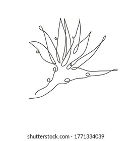Decorative hand drawn strelitzia flower, design element. Can be used for cards, invitations, banners, posters, print design. Continuous line art style