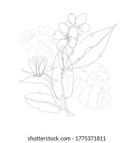 Decorative hand drawn strelitzia and plumeria flowers, design elements. Can be used for cards, invitations, banners, posters, print design. Continuous line art style