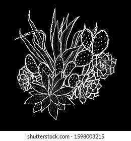 Decorative hand drawn succulents, design elements. Can be used for cards, invitations, banners, posters, print design. Floral background in line art style