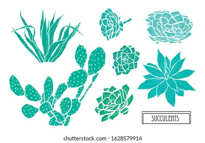 Decorative hand drawn succulents set, design elements. Can be used for cards, invitations, banners, posters, print design. Floral background in line art style
