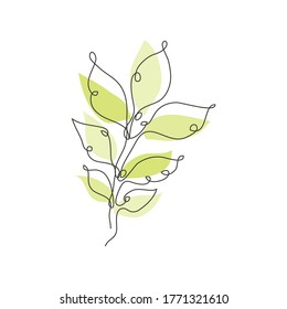 Decorative hand drawn  tree branch with leaves, design element. Can be used for cards, invitations, banners, posters, print design. Continuous line art style