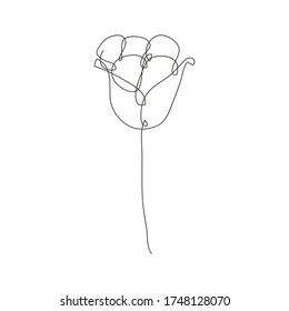Decorative hand drawn tulip flower, design element. Can be used for cards, invitations, banners, posters, print design. Continuous line art style