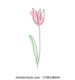 Decorative hand drawn tulip flower, design element. Can be used for cards, invitations, banners, posters, print design. Continuous line art style