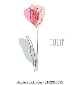 Decorative hand drawn tulip flower, design element. Can be used for cards, invitations, banners, posters, print design. Floral background