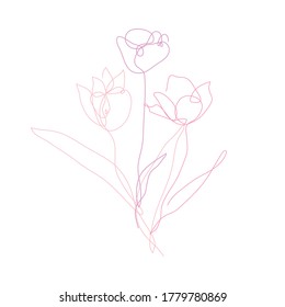 Decorative hand drawn tulip flowers, design elements. Can be used for cards, invitations, banners, posters, print design. Continuous line art style