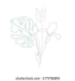 Decorative hand drawn tulip, iris, monstera, design elements. Can be used for cards, invitations, banners, posters, print design. Continuous line art style