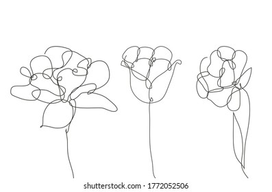 Decorative hand drawn tulips set, design elements. Can be used for cards, invitations, banners, posters, print design. Continuous line art style