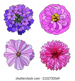 Decorative hand drawn verbena, zinnia, cosmos, chrysanthemum  flowers, design elements. Can be used for cards, invitations, banners, posters, print design. Floral background in line art style