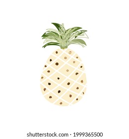 decorative hawaiian  tropical fruit,   pineapple, vector illustration