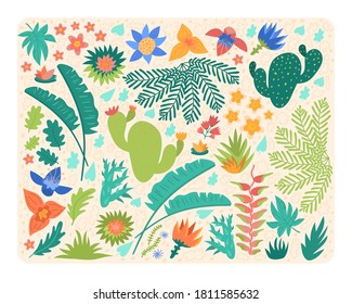 Decorative herbal elements, plants of South America. Colorful flowers and leaves set. Collection of tropical flora isolated. Cacti and grass. Decor details for bright south designs.