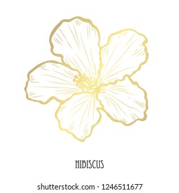 Decorative hibiscus  flower, design element. Can be used for cards, invitations, banners, posters, print design. Golden flowers