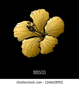 Decorative hibiscus  flower, design element. Can be used for cards, invitations, banners, posters, print design. Golden flowers