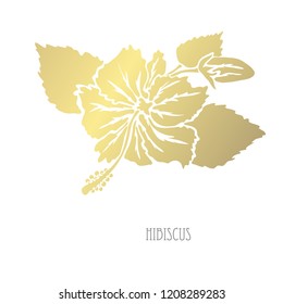 Decorative hibiscus flowers, design elements. Can be used for cards, invitations, banners, posters, print design. Golden flowers