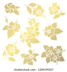 Decorative  hibiscus flowers, design elements. Can be used for cards, invitations, banners, posters, print design. Golden flowers