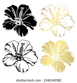 Decorative hibiscus  flowers, design elements. Can be used for cards, invitations, banners, posters, print design. Golden flowers