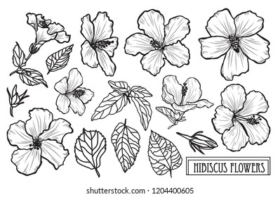 Decorative Hibiscus Flowers Set Design Elements Stock Vector (Royalty ...