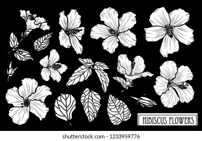 Decorative hibiscus flowers set, design elements. Can be used for cards, invitations, banners, posters, print design. Floral background in line art style