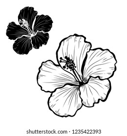 Decorative hibiscus flowers set, design elements. Can be used for cards, invitations, banners, posters, print design. Floral background in line art style