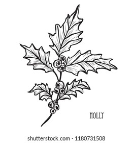 Decorative holly berry branch, design element. Can be used for cards, invitations, banners, posters, print design. Winter background in line art style