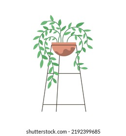 Decorative home flower. Pot with green plant. Object of a room interior. Flat vector illustration isolated on white background
