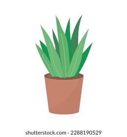 Decorative home flower. Pot with plant. Green leaves. Object of a room interior. Flat vector illustration isolated on white background