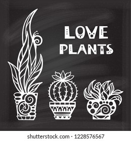 Decorative home potted plants set on a chalkboard background